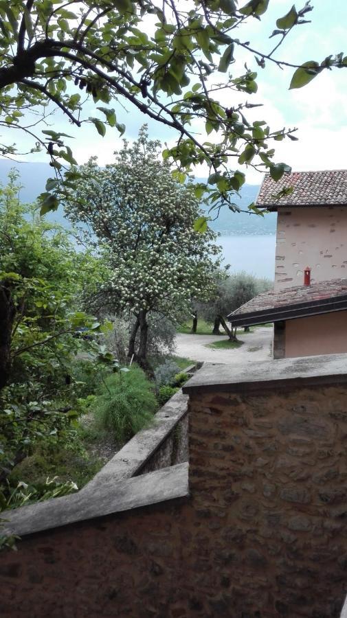 غارنانو B&B Il Sogno Nel Borgo المظهر الخارجي الصورة
